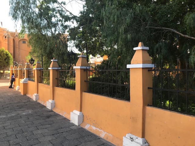 Barda dentro del atrio que cerca el jardín “salvaje”.